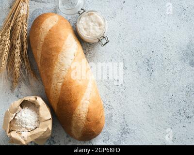 British White Bloomer oder europäischen Sauerteig Baton Laib Brot auf grauem Zement Hintergrund. Frisches Brot und Glas mit Sauerteig Starter, Mehl i Stockfoto