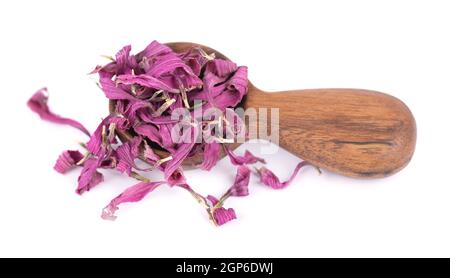 Getrocknete Echinacea Blüten in Holzlöffel, isoliert auf weißem Hintergrund. Blütenblätter von Echinacea purpurea. Heilkräuter. Stockfoto