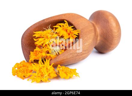 Getrocknete Ringelblumen in Holzlöffel, isoliert auf weißem Hintergrund. Blütenblätter von Calendula officinalis. Heilkräuter. Stockfoto