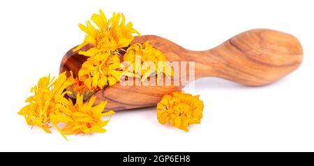 Getrocknete Ringelblumen in Holzlöffel, isoliert auf weißem Hintergrund. Blütenblätter von Calendula officinalis. Heilkräuter. Stockfoto