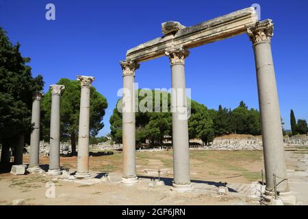 Kolonnade am Eingang zur Agora (griechischer öffentlicher Raum) in Ephesus, Türkei. Stockfoto