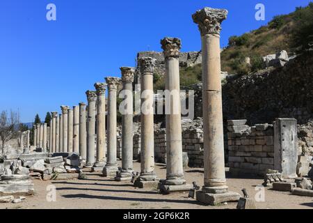 Die Kolonnade entlang der Ostseite der Agora (griechischer öffentlicher Raum) in Ephesus, Türkei. Stockfoto