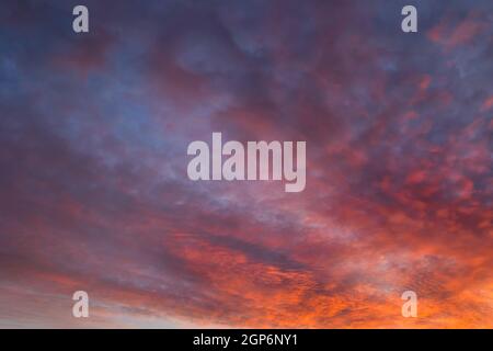 Blauer Himmel mit Wolken im Abendlicht Stockfoto