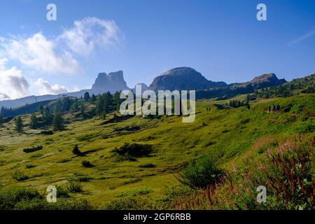 Averau von Passo Falzarego, Falzares, Belluno, Dolomiten, Venetien, Italien Stockfoto