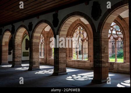 Kloster, Basler Dom, Basel, Schweiz Stockfoto