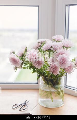 Wunderschöne Herbstblumen und Scheren im Licht auf Holzfensterbank. Die großen Fenster im modernen Zimmer sind mit rosa Astern geschmückt. Florale Dekoration für den Herbst Stockfoto