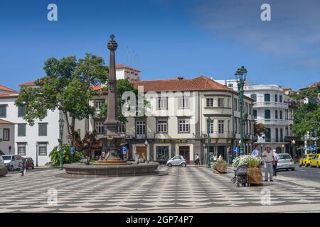 Praca Municipio, Funchal, Madeira, Portugal Stockfoto