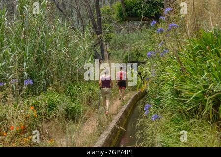 Wanderung Levada von Monte nach Palheiro, Madeira, Portugal Stockfoto