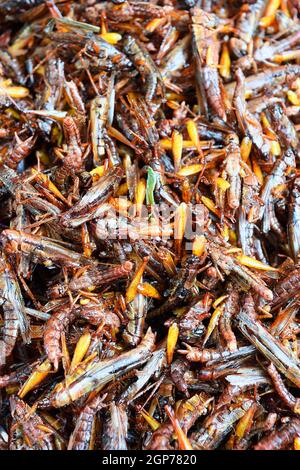 Frittierte Heuschrecken, Chillva-Markt, Phuket, Thailand Stockfoto