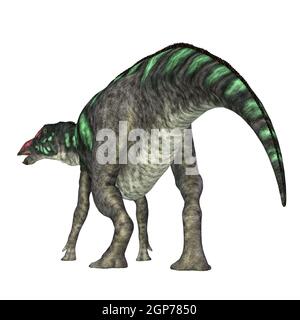 Maiasaura war ein pflanzenfressender Hadrosaur-Dinosaurier, der während der Kreidezeit in Montana lebte. Stockfoto