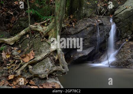 Kaskaden Wasserfall von Kathu, Phuket, Thailand Stockfoto