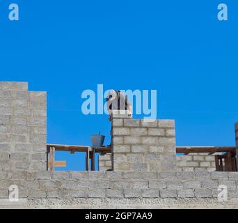 Die Builder baut die Wand des Hauses aus der Asche blockieren. Arbeiter auf der Baustelle Stockfoto