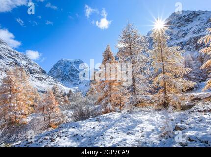 Mt. Collon, 3637 m, Arolla-Tal, Wallis, Schweiz Stockfoto