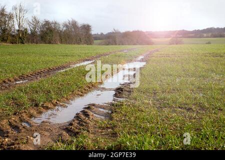 Schlammig nass gefeilt, Landstraße, schmutzige Straße mit Wasser nach starkem Regen, Frühling. Hochwasser in Feldern während sonnigen Tag. Globale Hochwassergefahr und Stockfoto