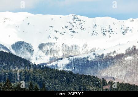 Winterlandschaft mit verschneiten Wald hoch in den Bergen an einem sonnigen Tag. Stockfoto