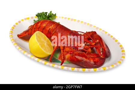 Roten Hummer mit Lemond Ad Petersilie auf weißem Hintergrund Stockfoto