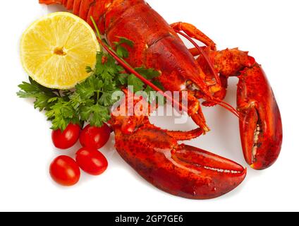 Roten Hummer mit Lemond Ad Petersilie auf weißem Hintergrund Stockfoto