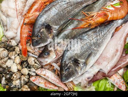 Verschiedene Arten von frischem Fisch und Muscheln, Meeresfrüchte Hintergrund. Stockfoto