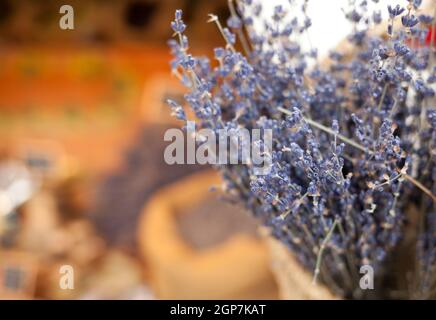 Lavendel Trauben in einem freien Markt zu verkaufen. Horizontalen Schuss mit selektiven Fokus Stockfoto