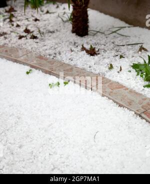 Ständiger Hagelkörner nach einem plötzlichen heftigen Sturm im Garten. Stockfoto