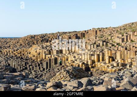 Basaltsäulen, The Giant's Causeway, Causeway Coast, in der Nähe von Bushmills, County Antrim, Nordirland, Vereinigtes Königreich Stockfoto