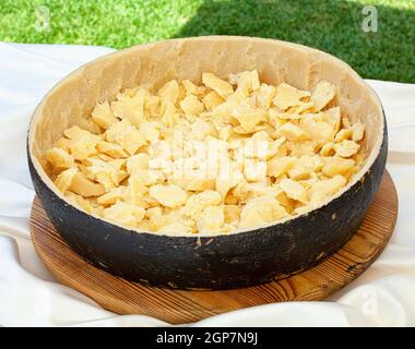 Stücke von Parmesan Käse in eine leere Schale. Stockfoto