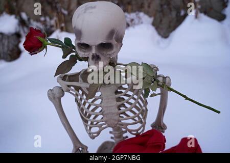 Skelett der ewigen Liebe mit roter Rose im weißen Schnee Stockfoto