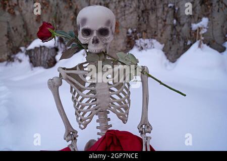 Skelett der ewigen Liebe mit roter Rose im weißen Schnee Stockfoto