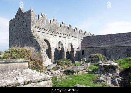 Ruinen der mittelalterlichen Abtei von Ardfert, Ardfert (ARD Fhearta), Grafschaft Kerry, Republik Irland Stockfoto