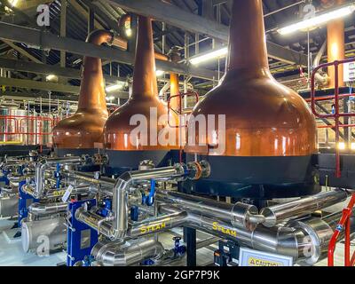 Copper Spirit stills, Old Jameson Whiskey Distillery Midleton, Distillery Walk, Midleton (Mainistir na Corann), County Cork, Republik Irland Stockfoto