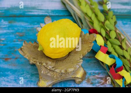 Jüdische Feiertag Sukkot traditionelle Symbole vier Arten Etrog lulav hadas arava Stockfoto