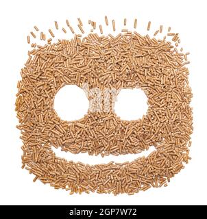Lustiges Gesicht mit alternativen Biokraftstoffe aus Sägemehl Pellets hergestellt. Stockfoto
