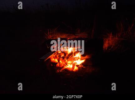 Hot Chicken Oberschenkel auf dem Feuer in der Nacht am Strand. Stockfoto