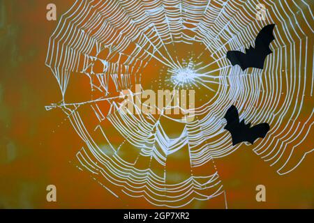 Schwarze fliegende Fledermäuse und weiße Spinnweben auf orangefarbenem Hintergrund. Halloween-Konzept Stockfoto
