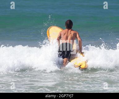 Surfer auf Longboard reitet eine schöne blaue Welle im Meer. Stockfoto