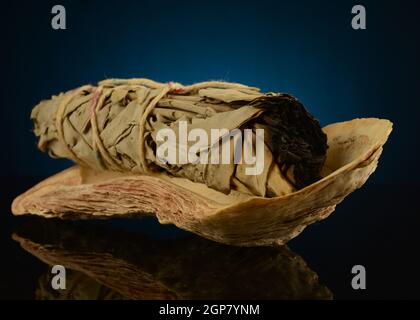 Ein Salbeibündel, das in einer Austernschale ruht, um spirituell zu schmieren. Stockfoto