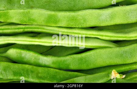 Gemüse - Bohnen - Taccole Stockfoto