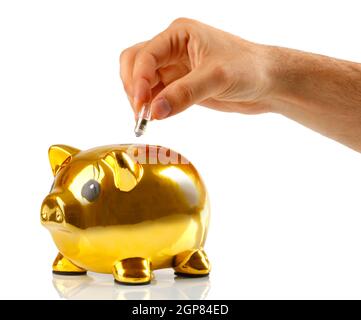 Goldene Sparschwein mit kleinen Glühbirnen auf weißem Hintergrund Stockfoto