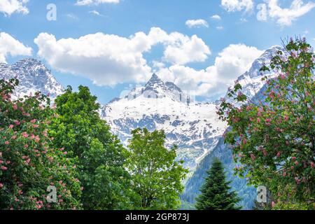 Gebirge in Österreich im Sommer: Snow Mountain Peak, Loferer Steinberger Stockfoto