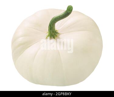 Weißer Pattypan Squash (Cucurbita pepo fruit) isoliert Stockfoto