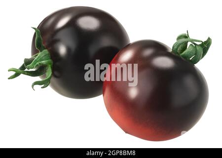 Indigo Rose Erbstück Tomaten, isoliert Stockfoto