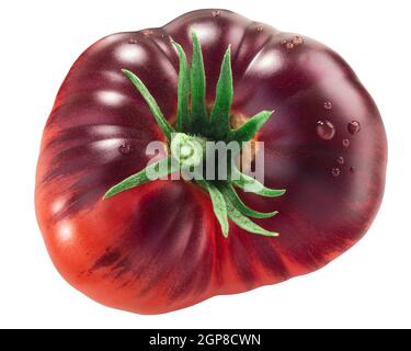 Blue Beauty Erbstück Tomate, reif mit Anthocyanin Schultern, isoliert, Draufsicht Stockfoto