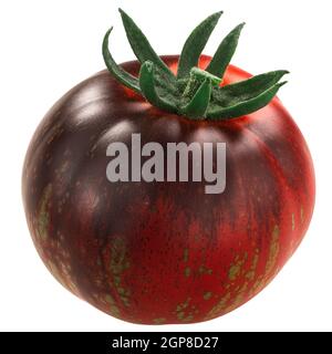 Dunkle Galaxie Erbstück Tomate, anthocyan-reichen bicolor, isoliert Stockfoto