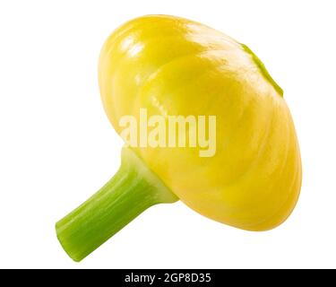 Baby Pattypan Squash (Cucurbita pepo), isoliert w Clipping Pfad Stockfoto