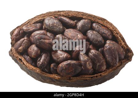 Halbierte Kakaoschote mit ganzen fermentierten Kakaobohnen (Theobroma Kakaofrucht w Samen) isoliert, Draufsicht Stockfoto