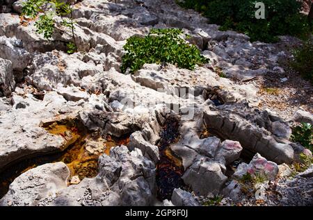 Blick auf den Karstfelsen in Friaul Julisch Venetien, Italien Stockfoto