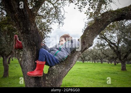 Kind Junge entspannen über Baum Zweig nach intensiver Reise in der Natur. Kinder entdecken Naturkonzept Stockfoto