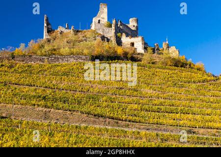 Ruinen von Senftenberg, Bezirk Krems-Land, Oberösterreich, Österreich Stockfoto