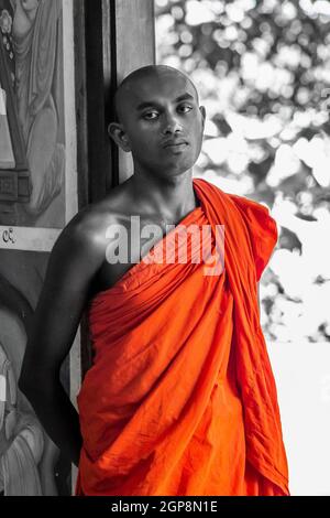 SRI LANKA, KOGGALA. POTRAIT EINES BUDDHISTISCHEN MÖNCHS IN EINEM TEMPEL DES KOGGALA SEES. Stockfoto