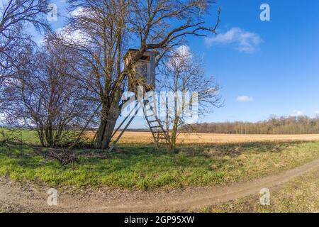 Typisch deutscher Jägersitz versteckt im Unterholz neben einem Ein Stockfoto